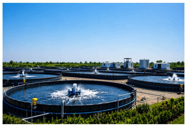 Advanced Aquaculture Systems - 4