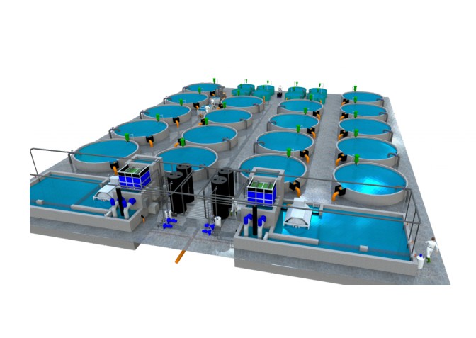 RAS Aquaculture Systems - 1