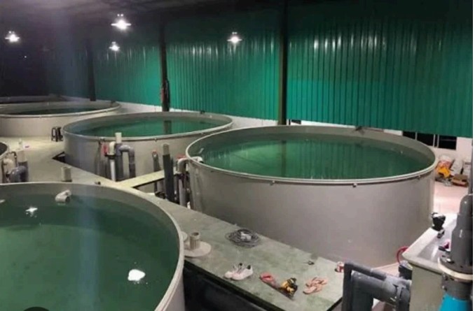 RAS Aquaculture Systems - 4