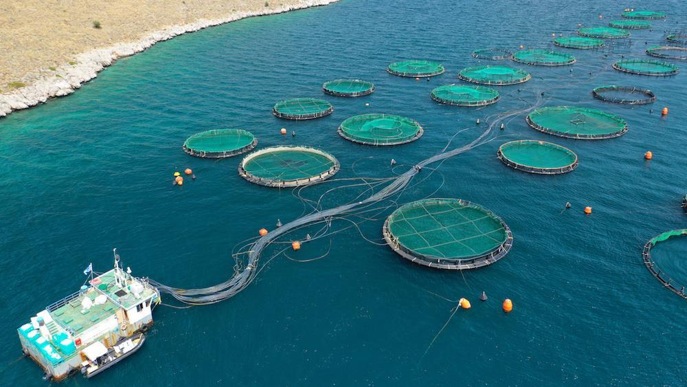 Advanced Aquaculture Systems