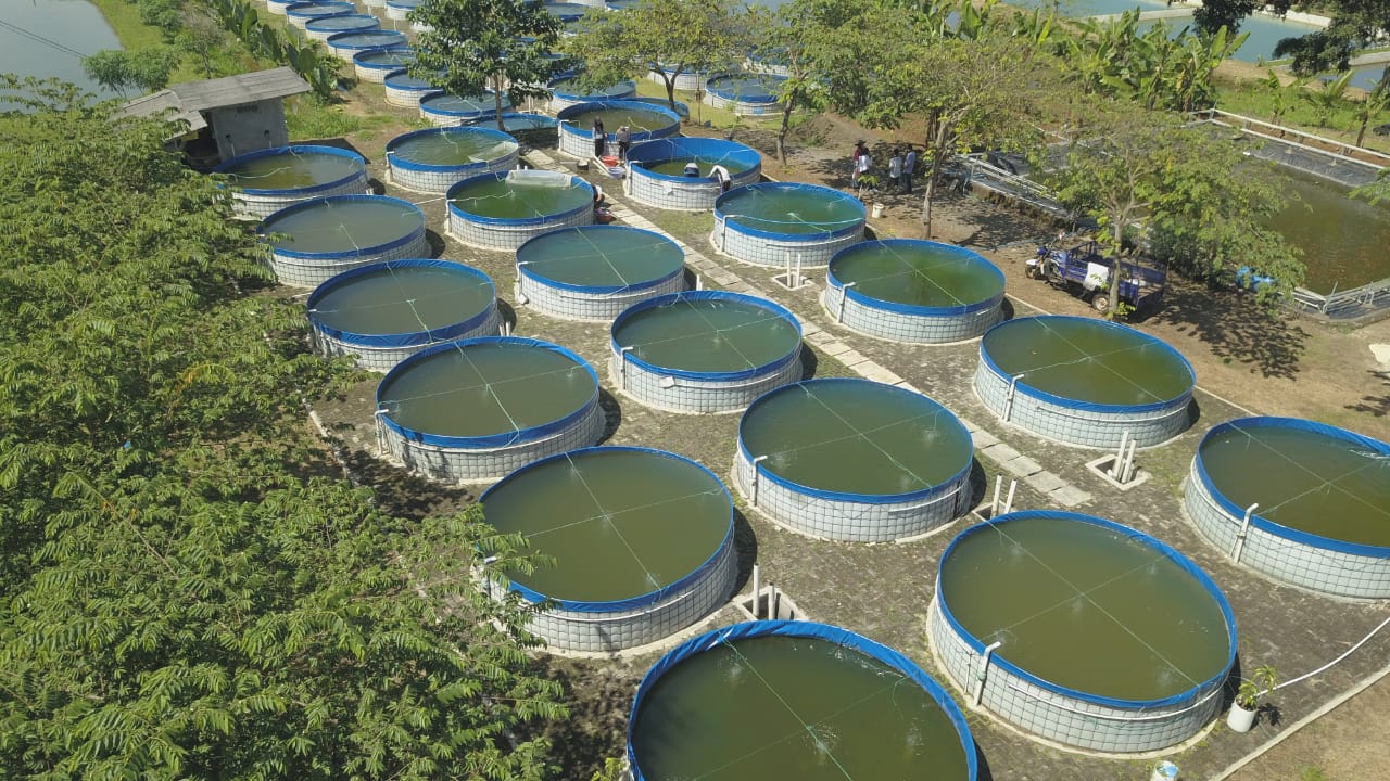 Hatchery Design Solutions