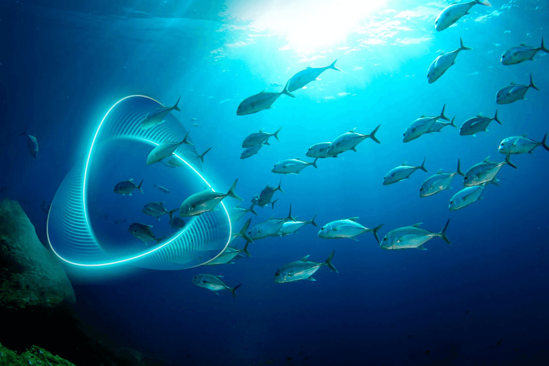 ARK Aquatech Smart Aquaculture Engineering Solutions India